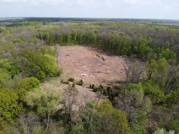 Boone Land Clearing